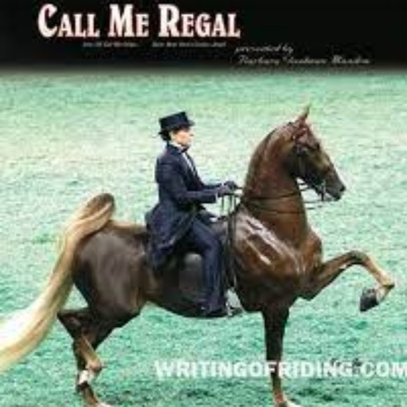 SADDLEBRED MEN'S VINTAGE PURE COTON W/ THICK INSULATED LINING - Picture 14 of 17